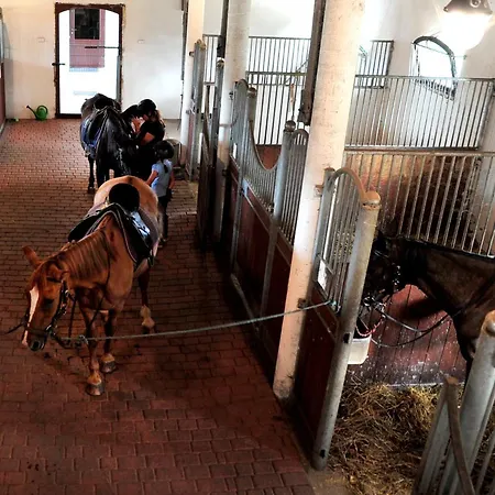 Ranczo Sielanka Zajazd Jamielnik (Nowe Miasto)