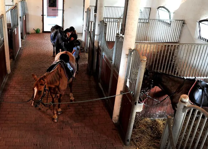 Ranczo Sielanka Inn Jamielnik (Nowe Miasto)